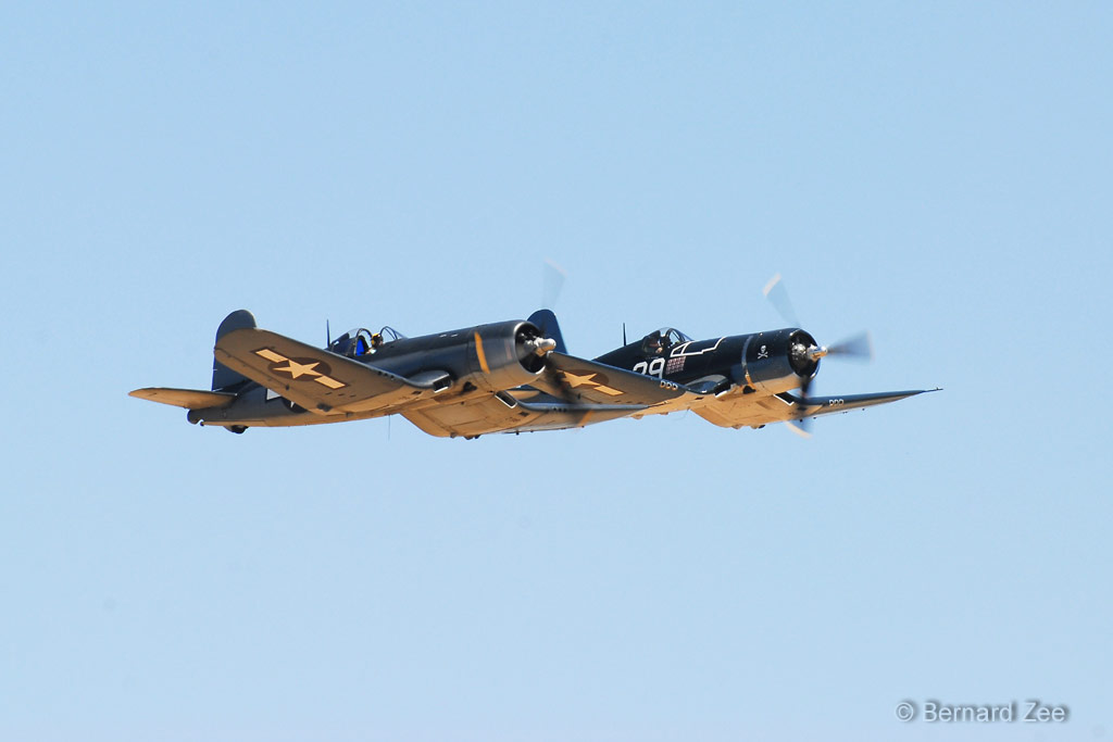 DSZ_0019